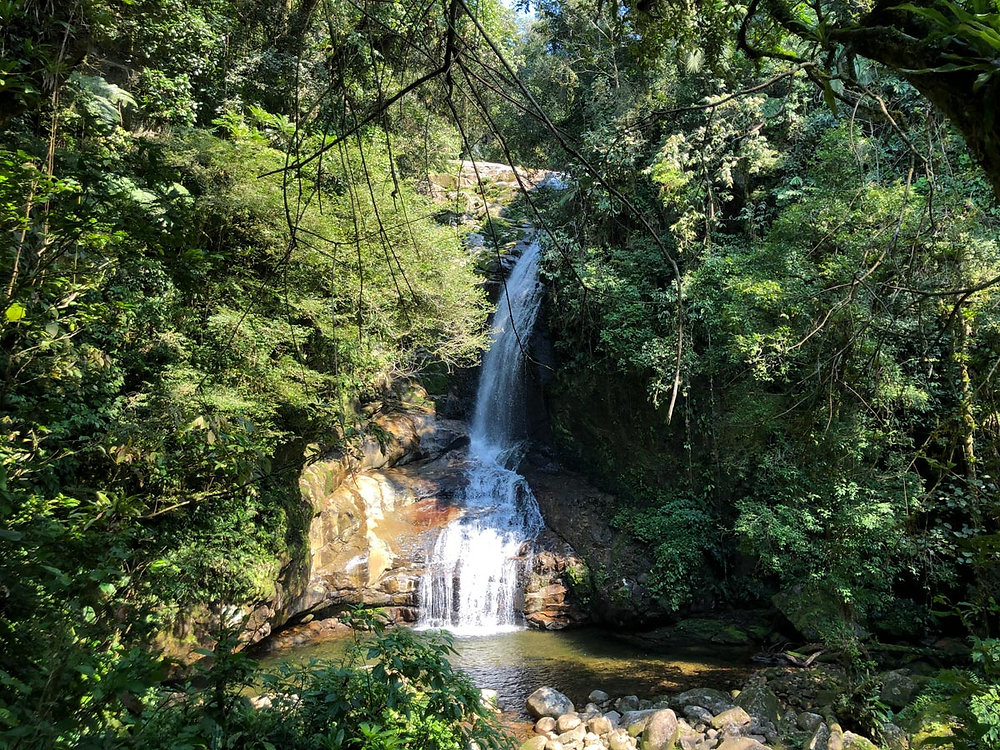 3663e1_713b7b21737f48db8410bbfc5c35c4ae~mv2