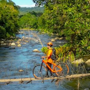 Imagem do WhatsApp de 2025-07-02 à(s) 17.09.27_2f965105