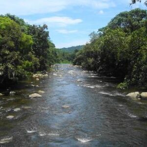 rio-cachoeira rio-cachoeira